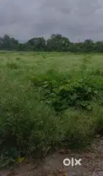 168 gaz for sale in bhaniyawala dehradun