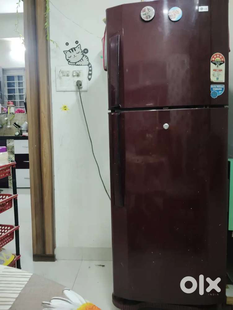 LG 5 star refrigerator