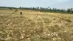 land for sale farming land /Site for sale