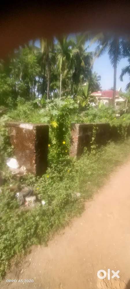 Kottara 6 Cents North East Face Site for Sale Per Cents Rs. 90,00,000