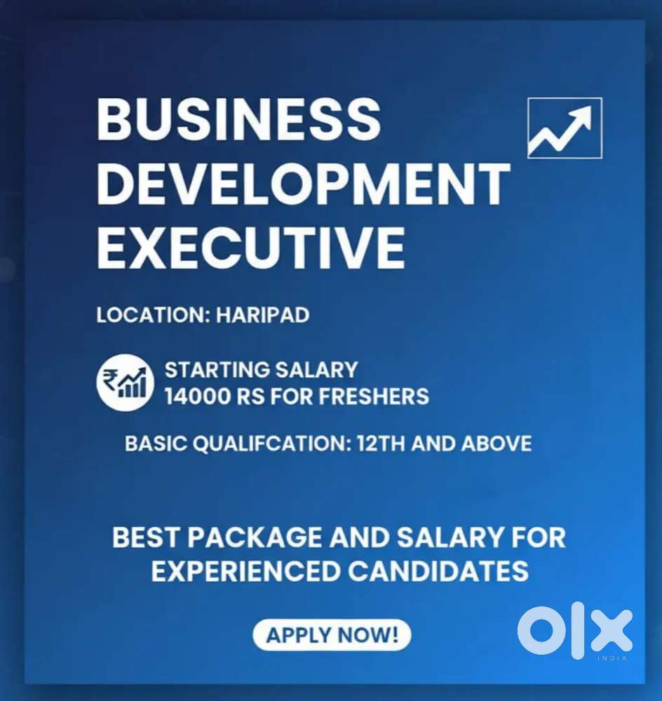 Business Development Executive