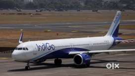 856 Vacancy Available For Freshers Candidates Apply In Indigo