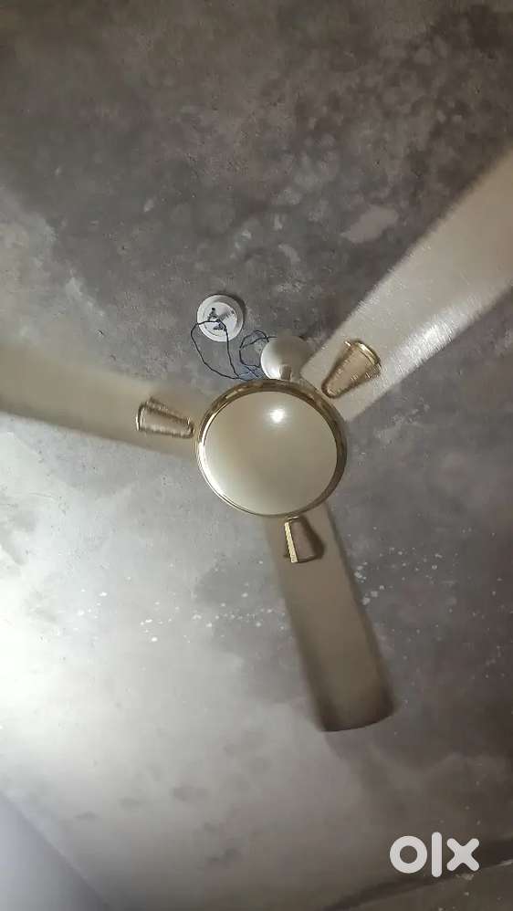 Havells new  fan one month old only