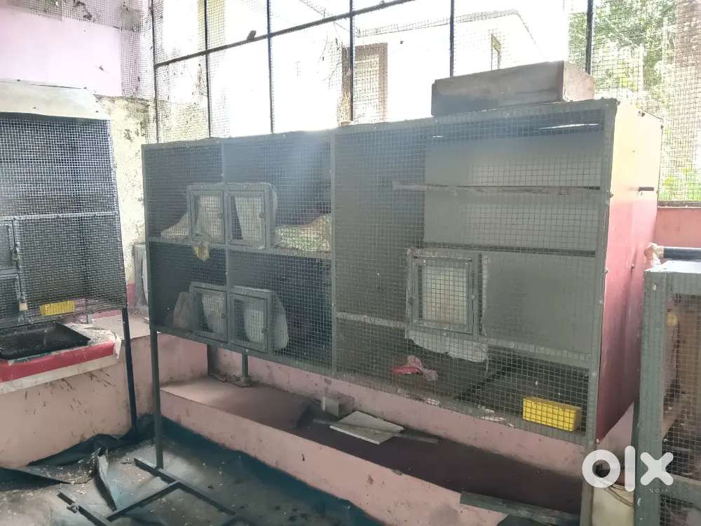 Bird cage For sale
