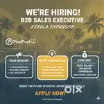 Sales executive