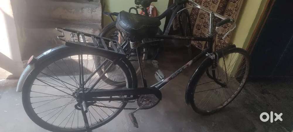 Best cycle