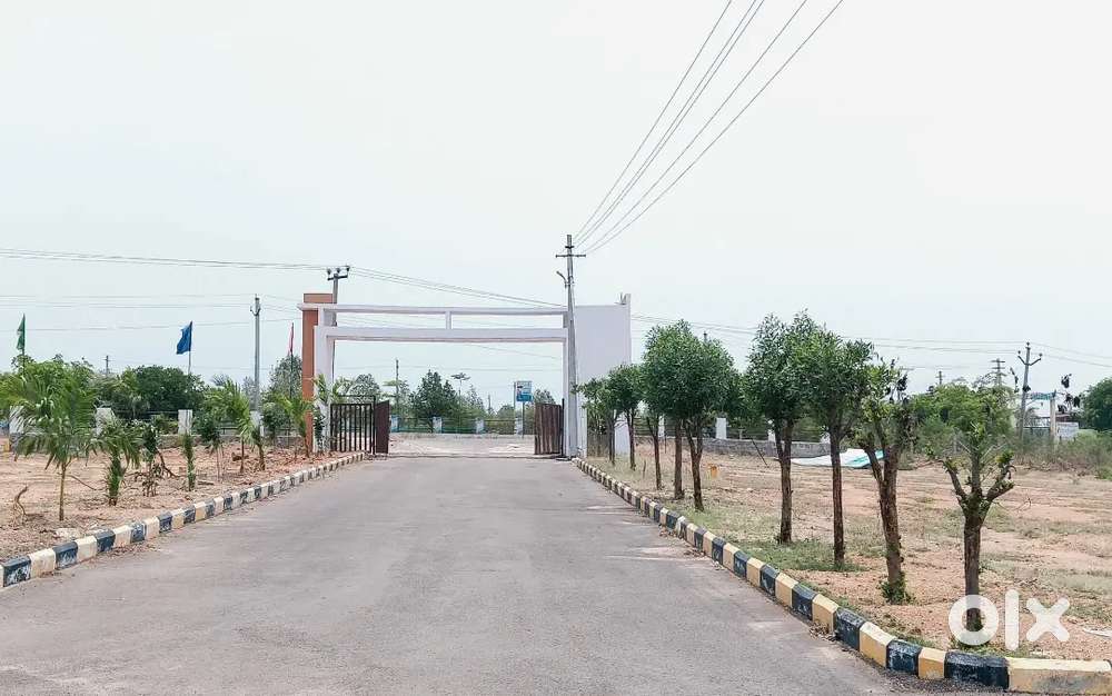 Sarkari employee valo ke liye Lucknow me rajisrti fri ke saath