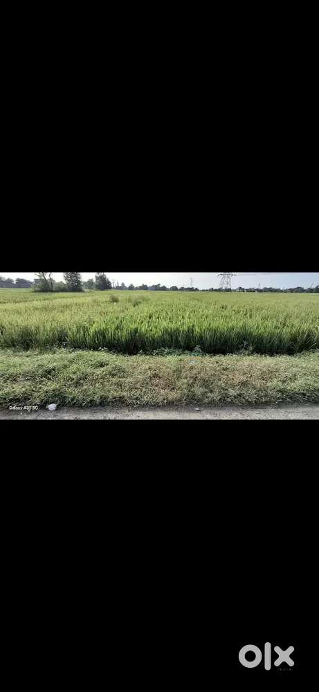 Plot for sell