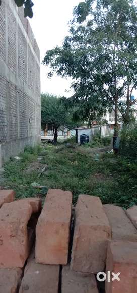 Sharyu Nagar, Near Metro Zone, behind Gurugovind Singh Coll, Nashik.