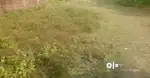 Land for sale near nalbari choudhury Market