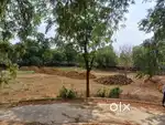Residential plots with reasonable price subhash chowk gurgaon