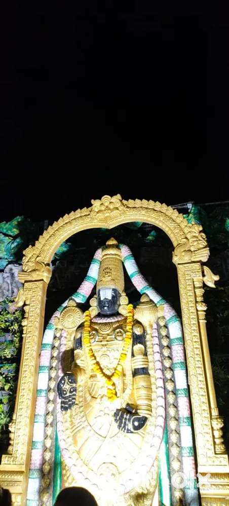 Ladies need for helper to cooking