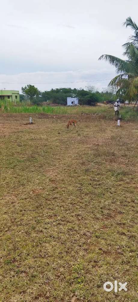 Land for investment