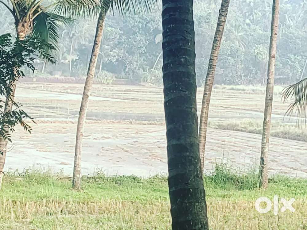 Goan family expanding rapidly needs a house