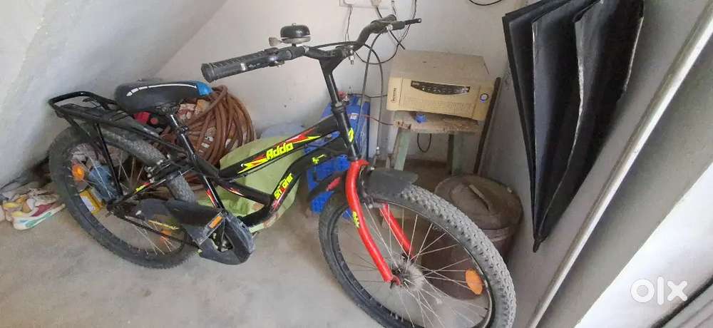Great cycle