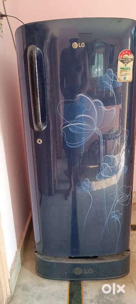LG Fridge single door