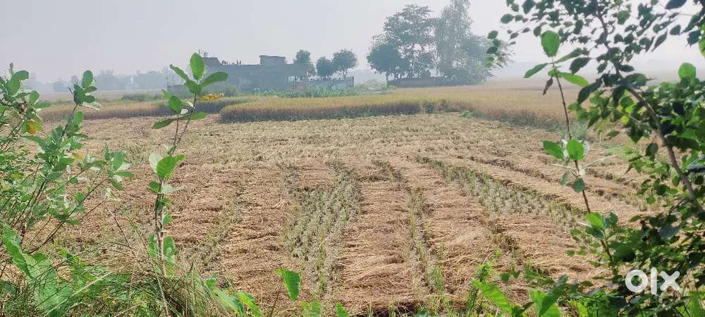 आवासीय ओर कमर्शियल दोनों के लिये भूमि है