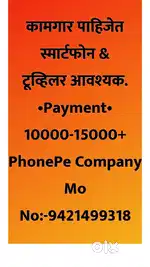Sales Person