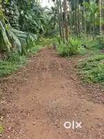 Land and house
