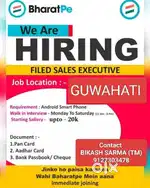 Field sales executive