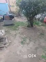1.5 कट्ठा खासमहाल जमीन prime location पे है।।।