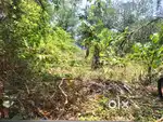 House plot for sale at Varam
