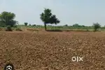 General jammen in ballop
