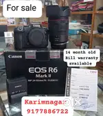 Canon and Sony