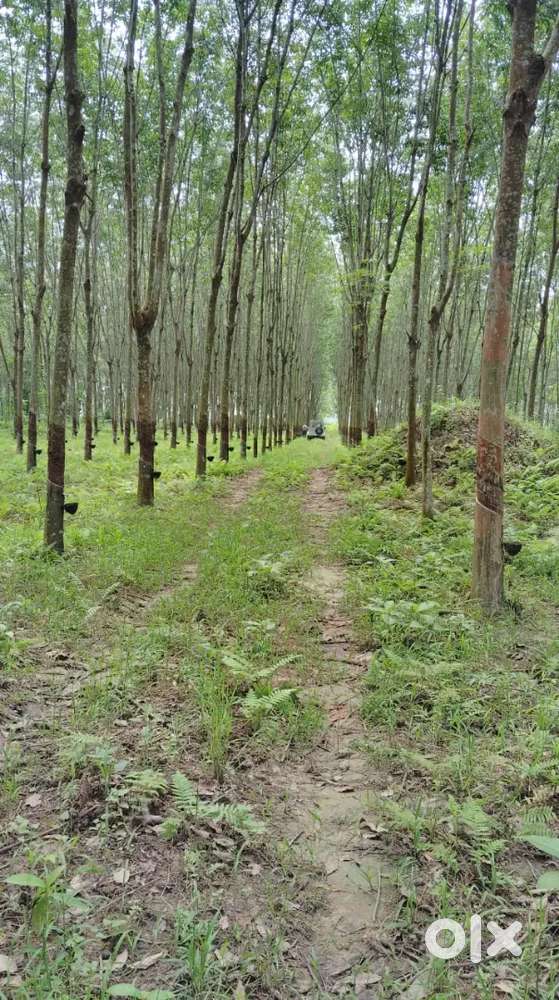 Urgent land for sell