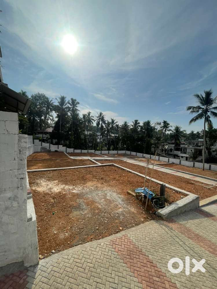 3.3 cents Villa Plot , Dry Land, Thirumala