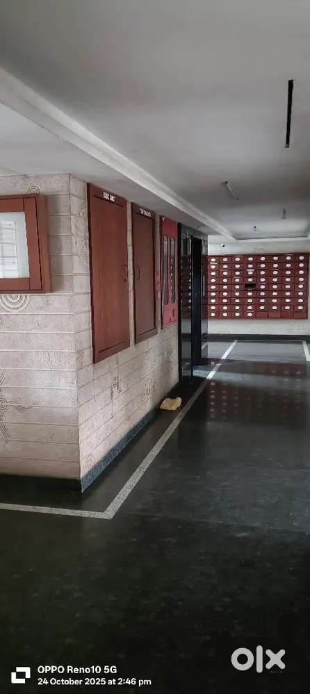 3bhk Furnished appartment 30k only.