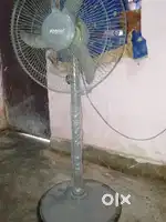 Fan Polly cool