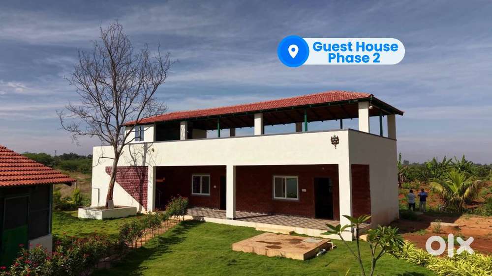 Own Your White Sandalwood Farm – Zero Maintenance, High Income!