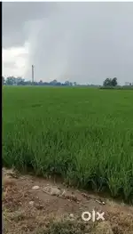 Industrial land for sale near sahnewal