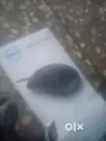 Mouse and keyboard