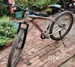 Belleza mountain bike