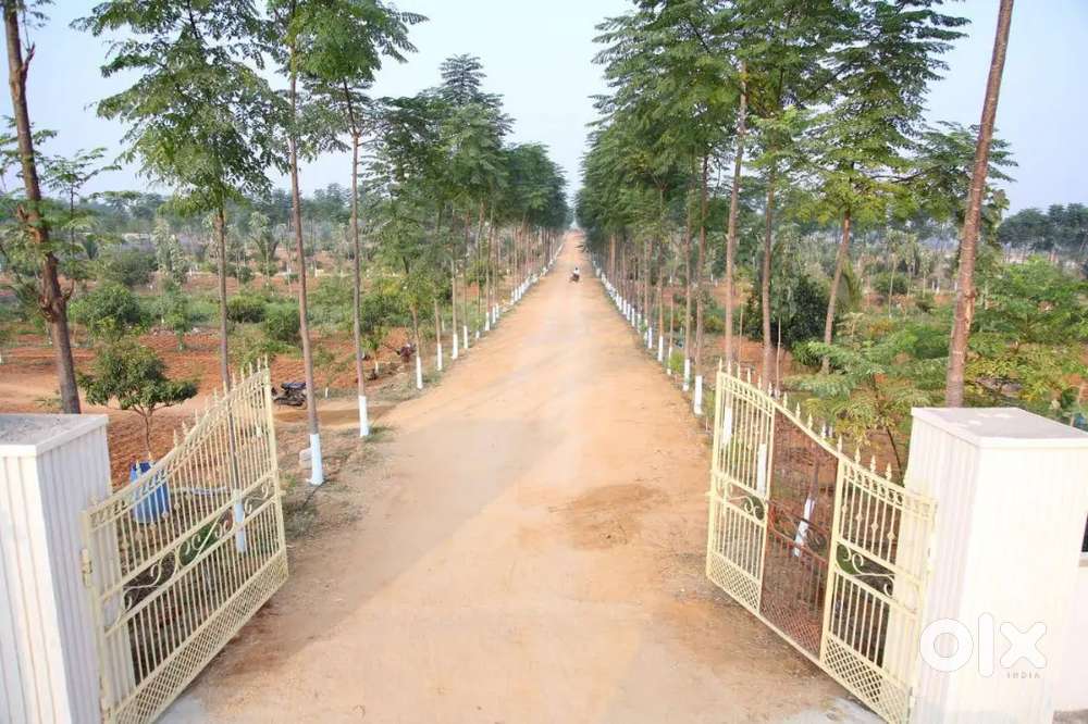 Agriculture lands for sale in Madanapalli