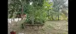 Plot for sale in Anthikad  village (Thrissur District)