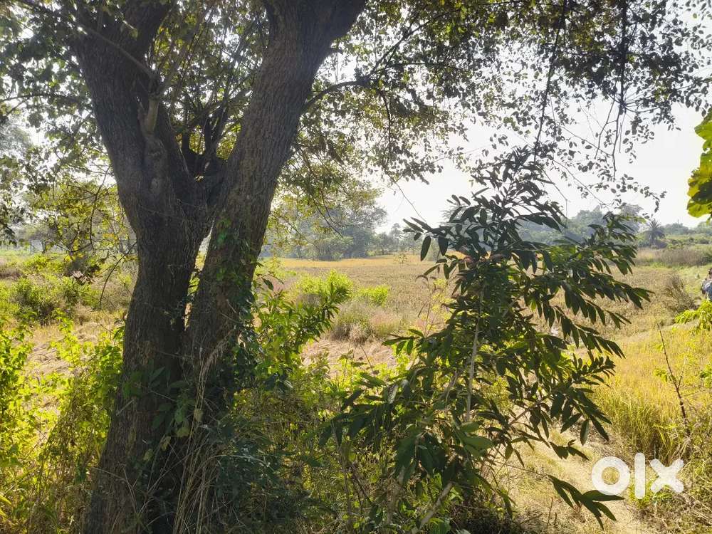 I need to seal the land