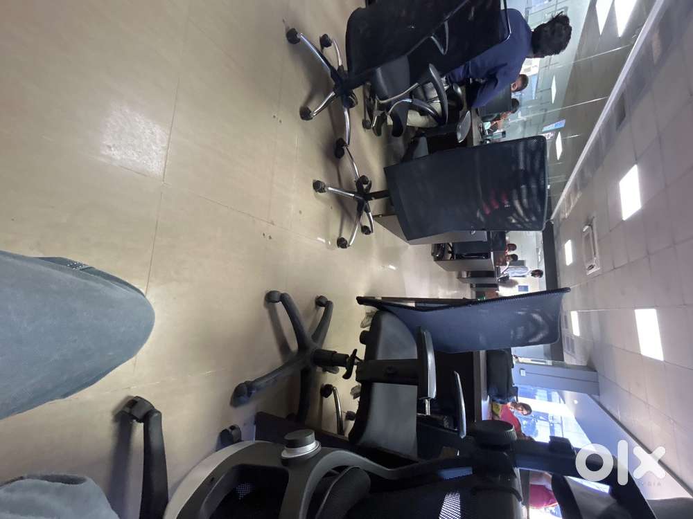 Business Developer Executive