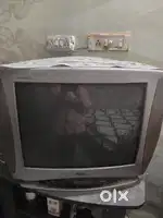 TV (Television)