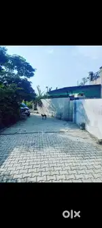 Home urgent sale near sirhind road jakwhwali