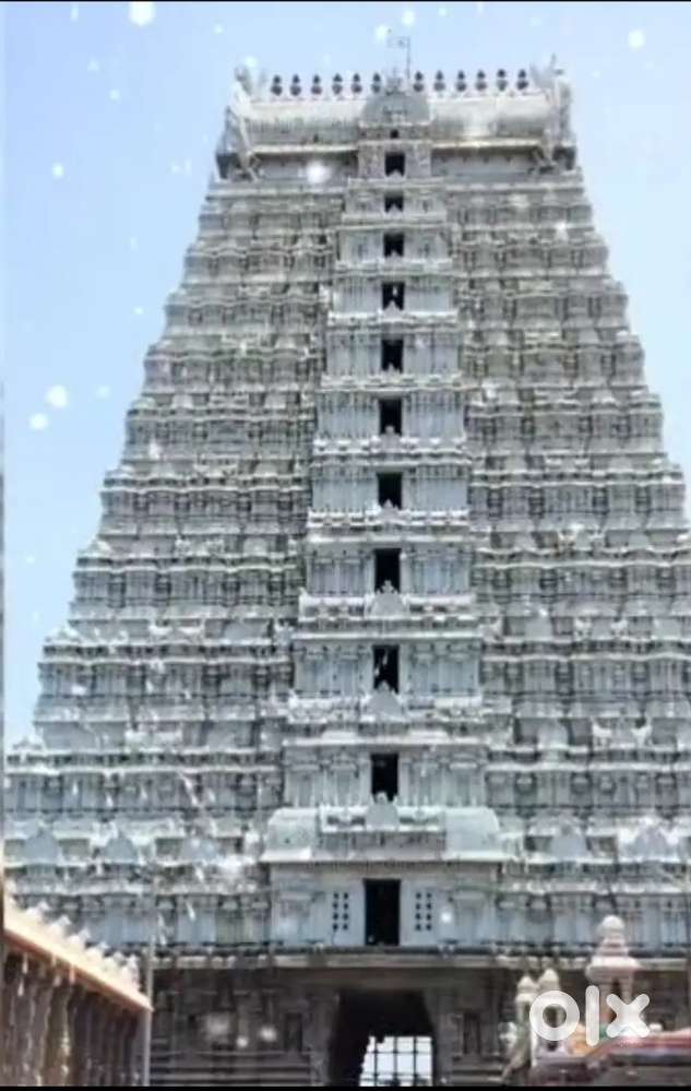 Plot for sale kattur Balaji Nagar,near Montfort school