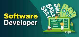 Software Developer