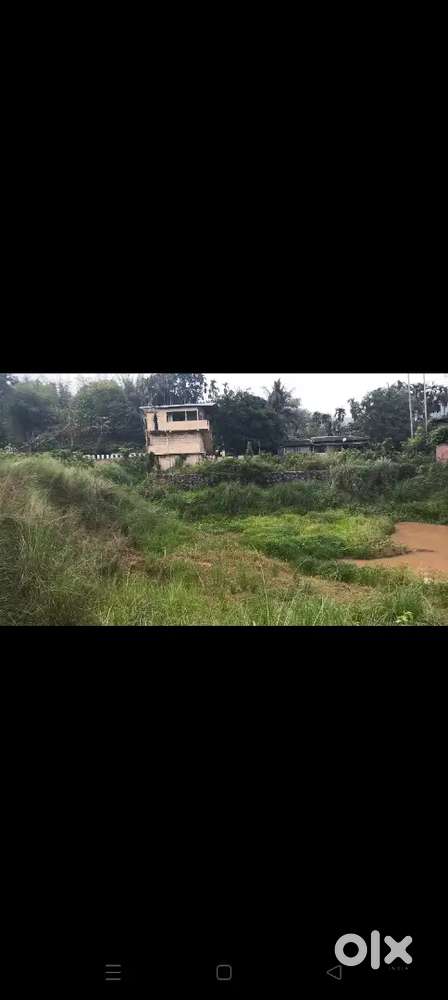 14 Mile Kamalajari Road 2 nd plot 7 katha per katha price 14 lakhs