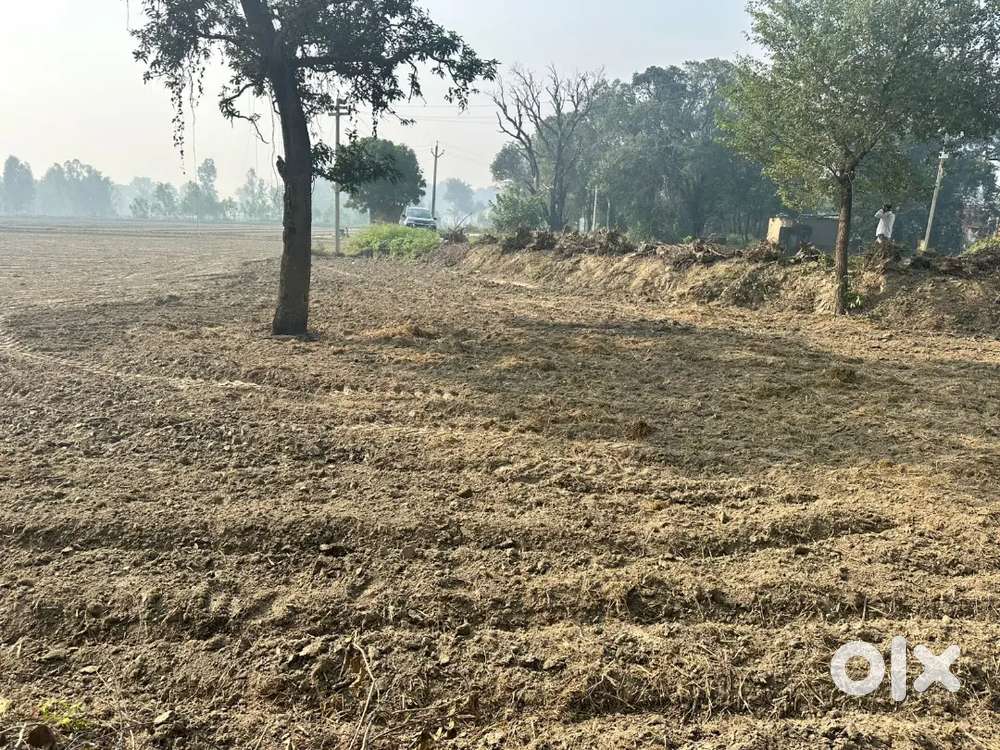 Warehouse and Godown for Rent at Lucknow-Barabanki Area