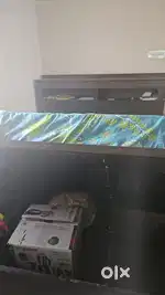 Cot queen size bed