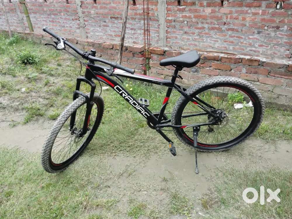 Cradiac bycycle