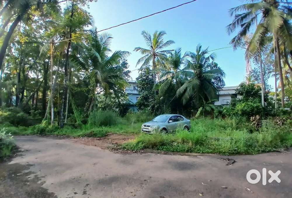 17.3 Cents Residential Land for Sale –Thalassery Temple Gate (Urgent)