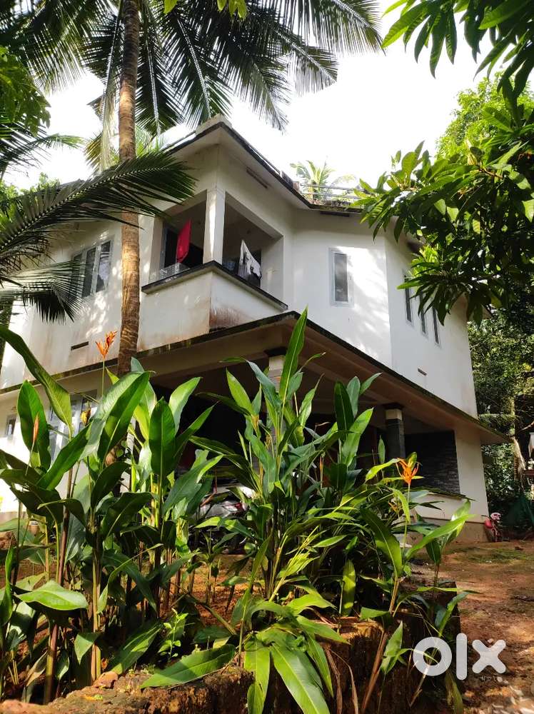 Homestay palazhi
